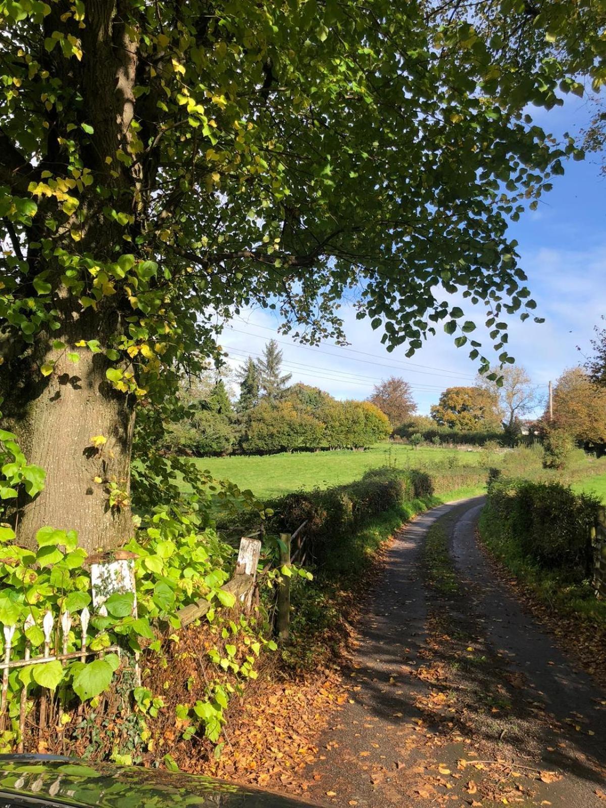 The Cottage Abergavenny Eksteriør billede