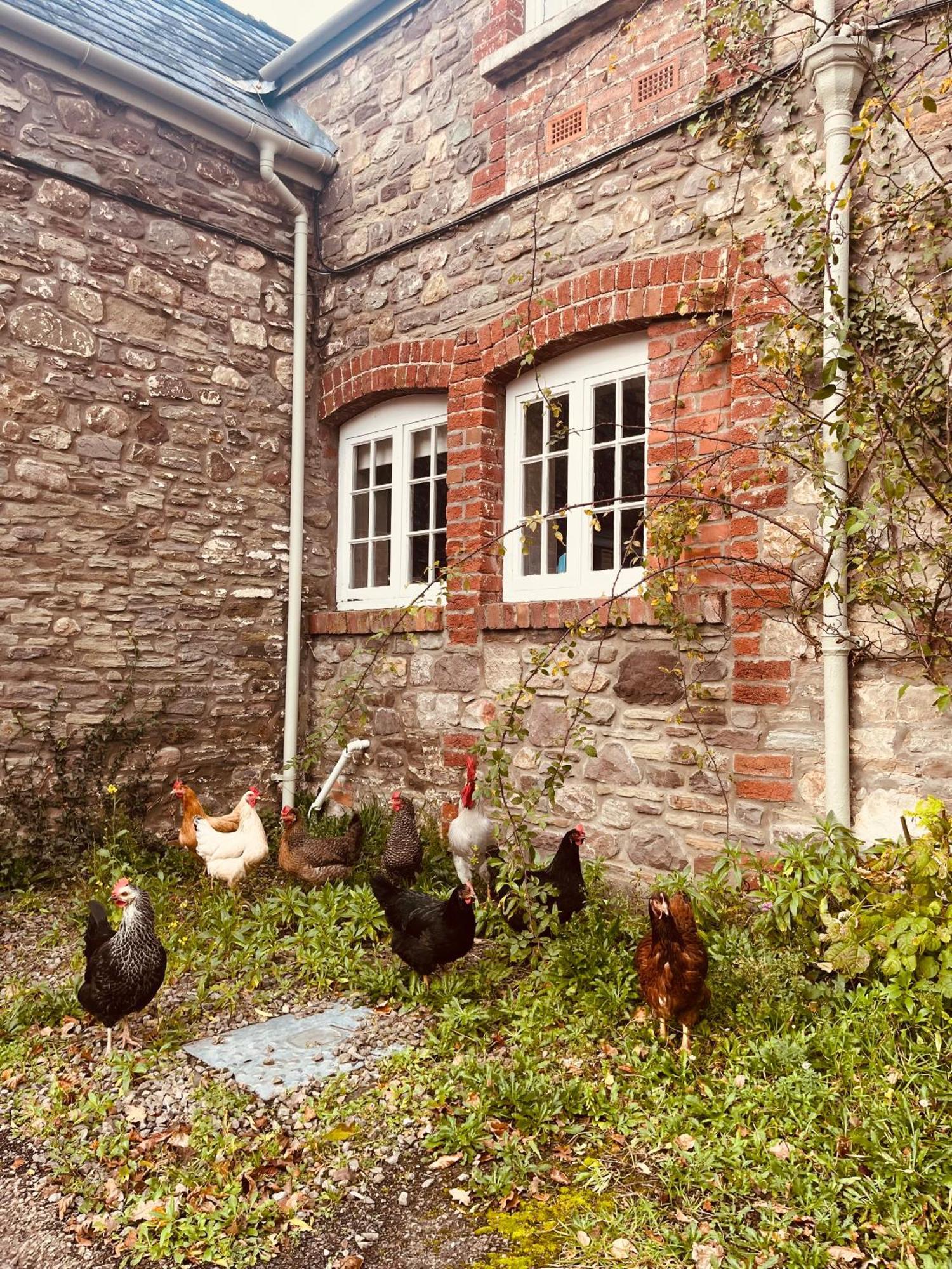 The Cottage Abergavenny Eksteriør billede